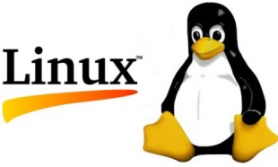 linux