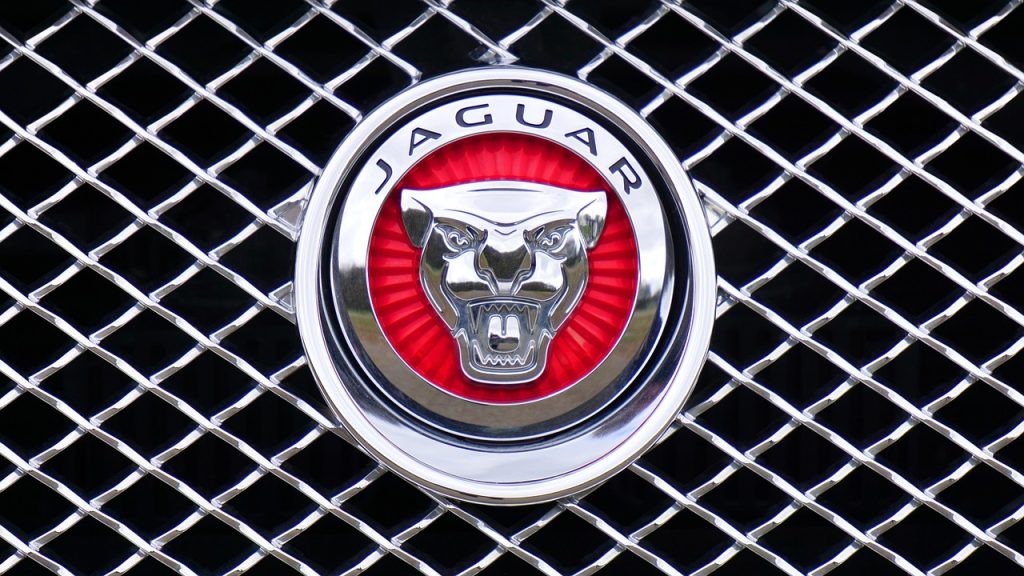 jaguar, pixabay